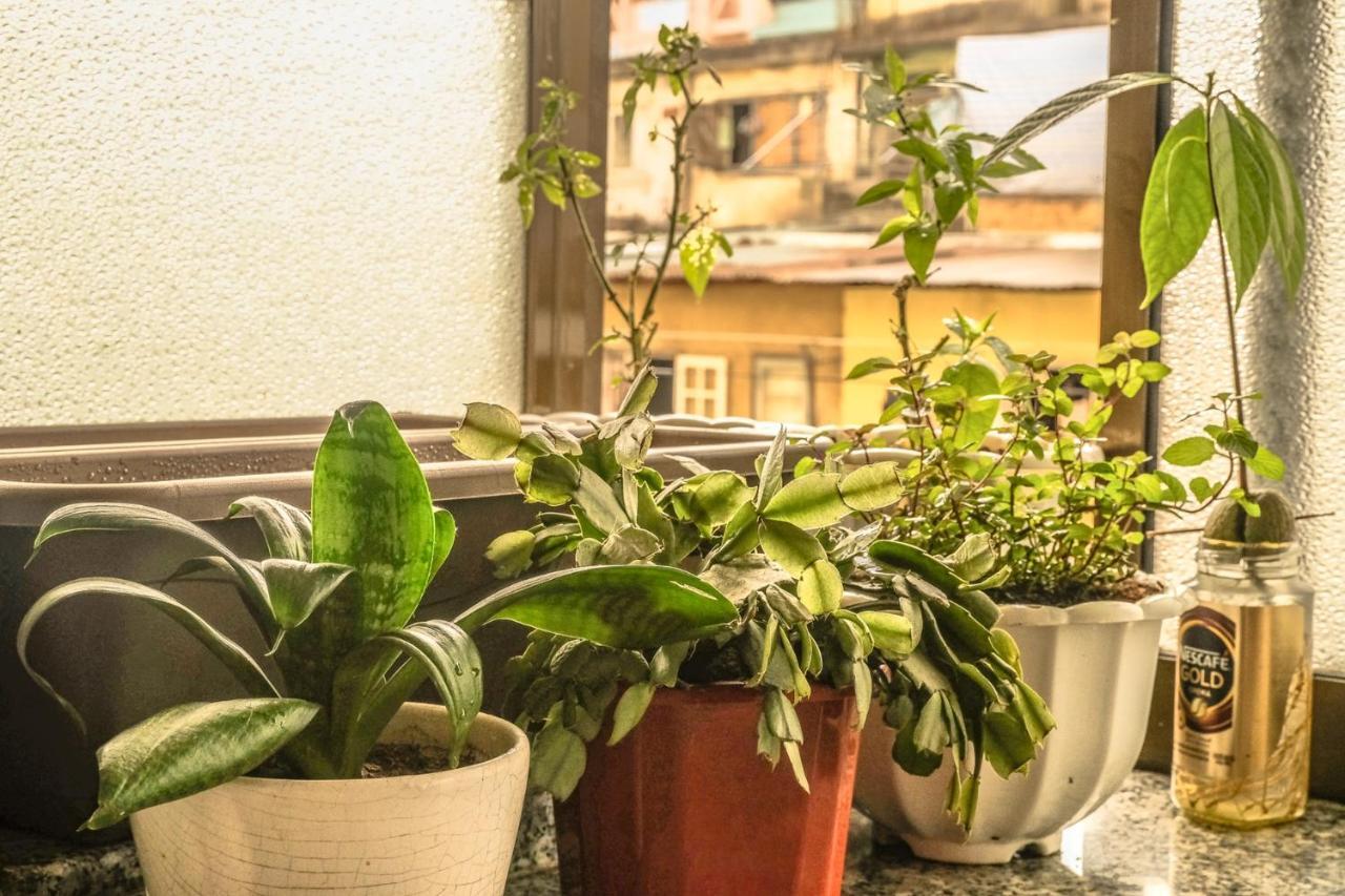Dora Hostel Dalat Bagian luar foto